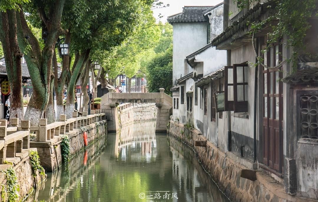 企鹅回城5之飞渡横木